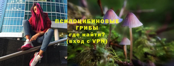 мяу мяу мука Алзамай