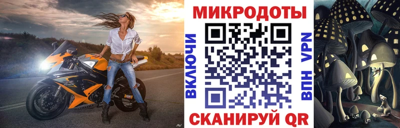 Псилоцибиновые грибы Psilocybine cubensis  blacksprut ссылка  Кольчугино  цены  