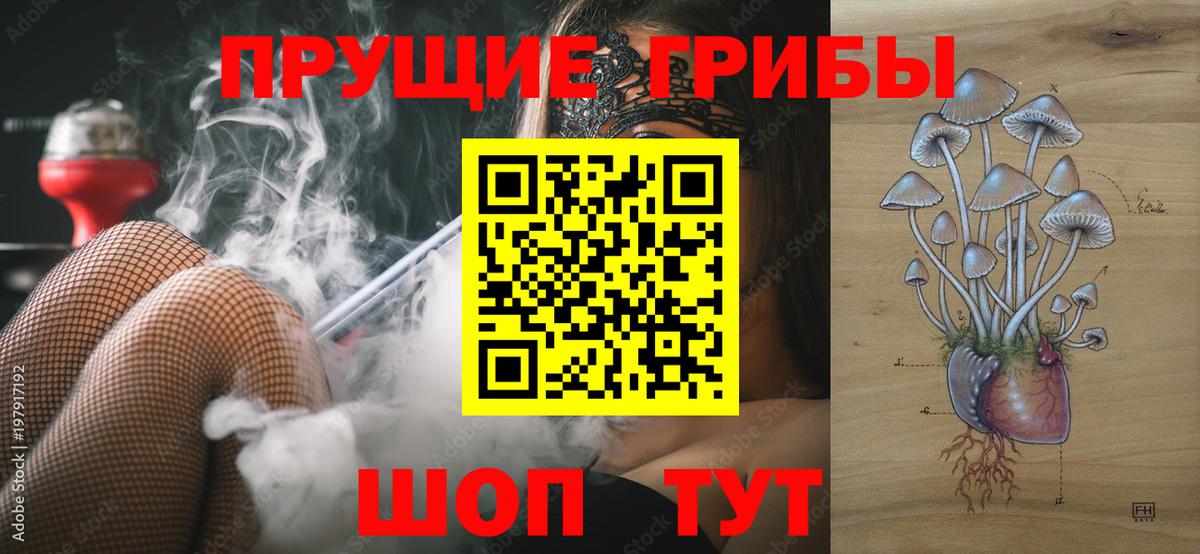 Кольчугино  Галлюциногенные грибы Psilocybe  Галлюциногенные грибы MAGIC MUSHROOMS  Вход с VPN 